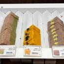 NR-21[문화로]-상-89 | Bangkok 방콕키언 지망생이 쓴 글