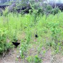 원스농장 이미지