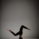 여우요가 이미지