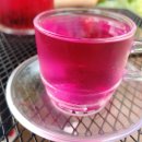 기장효사랑 이미지