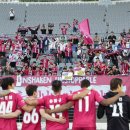 용인FC, 프로 첫 시즌부터 지역 팬과 함께 성장하는 구단 발돋움 이미지