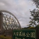 용강정비 | [ 대만 여행 후기 ] 따뜻한 대만으로 떠난 힐링 여행(다안삼림공원, 라오허제 야시장)