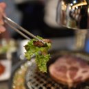 신마포갈매기제주 - 제주시 신성로13길 31 | 신마포갈매기제주