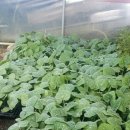 미래농약사 이미지