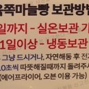 성남마늘