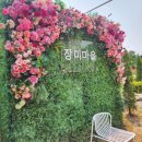 화명근린공원 화장실 | 부산 장미 공원 화명장미공원 장미원 실시간 만개!