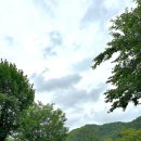알프스밸리캠핑나라 네이버블로그