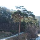 팔마경로당 이미지