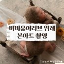 투썸플레이스송파위례트랜짓몰점 | 비비유어러브 위례 본아트 촬영 후기 🧸 생후3주 신생아 뉴본 내돈내산