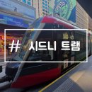 폴리타운 버스정류장 뒤 | 호주 시드니 트램 탑승방법 요금 트래블월렛 카드 사용 후기