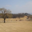 강남-168 이미지