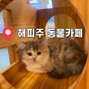 해피주 수원점 네이버블로그