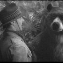 해운대 24시 동물의료원 이미지