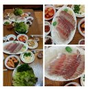 효촌목장 | 제주도 여행 후기 오인숙 구원하기