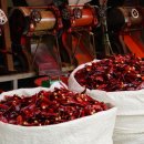 강원방앗간 이미지