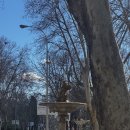 로이메디 | [스페인여행] 스페인 10박 11일 가족여행 - 마드리드 1일차 마지막! 레티로 공원 산책과 프라도 미술관...