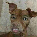 퍼스트 클럽 이미지