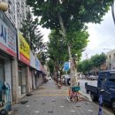 원대오거리 시장방향 이미지