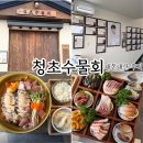 서일여행 | 제주 애월 뷰 맛집 청초수물회 현지인 맛집 인정 내돈내산 후기