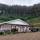 힐링스토리펜션 이미지