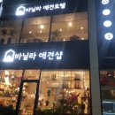 바닐라 애견샵 네이버블로그