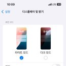 선사진학원