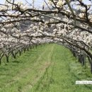 황토향기민박 이미지