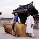 한국의 굿 황해도 평산 소놀음굿 이미지