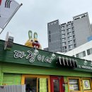 낭낭쓰 협재다랑 | 커플 3박 4일 여름 제주도 여행 2일차 : 다정이네김밥 고집돌우럭 풀베개 오설록티뮤지엄 포도뮤지엄...