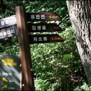 청량산유림길 이미지