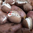 해품은농장 이미지