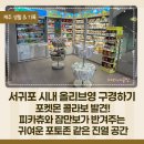 서귀포 올리브영 서귀포광장점 방문 후기, 포켓몬 콜라보부터 스킨케어, 헤어케어까지 한눈에
