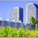 흐르는강물처럼 이미지