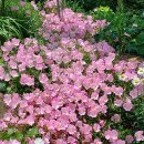 덕인주유소 이미지