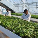 농업과학기술센터 이미지