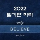하라 인터네셔널