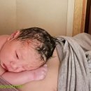 둥지조산원 이미지