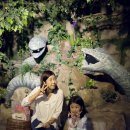 함평양서파충류생태공원 이미지