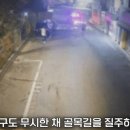 "돈 있을 줄 알고"… 마포대교 투신시도자 가방 훔쳐 달아난 남성 이미지