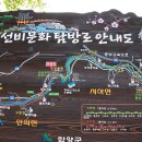 농월정주유소 Daum카페