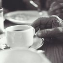 커피(coffee)란 Daum카페
