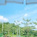 카페춘담 이미지