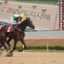 부마목장 이미지