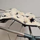 화이트세탁 | 피지 모락셀라 냄새제거 세탁세제 화이트머스크 후기