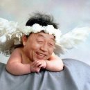 아기천사 이미지