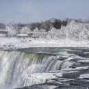 옥길명태 이미지