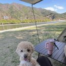 운문댐하류보4 이미지