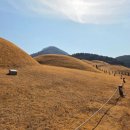 연산동고분군 이미지