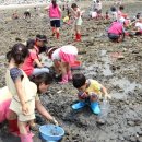 신흥해바리마을 이미지