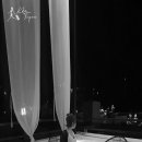 오이다(oida) 이미지